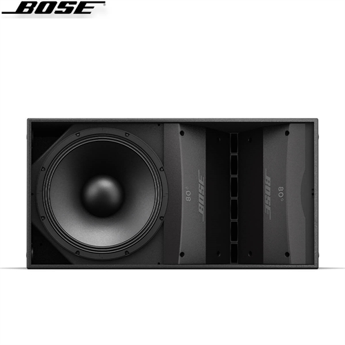 Loa Bose ArenaMatch AM10